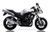 FZS600